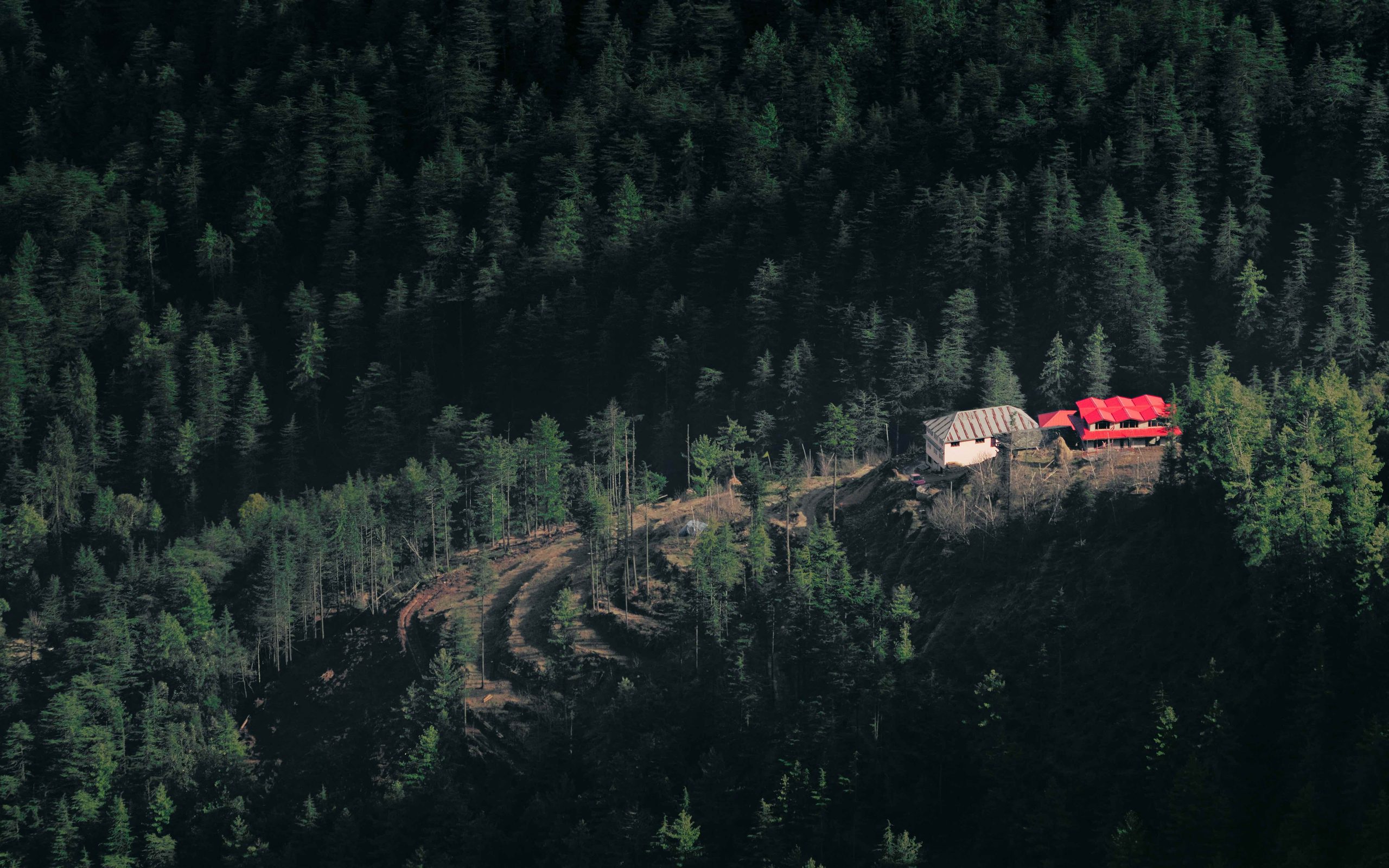Aerial view of a red-roofed building in dense forest